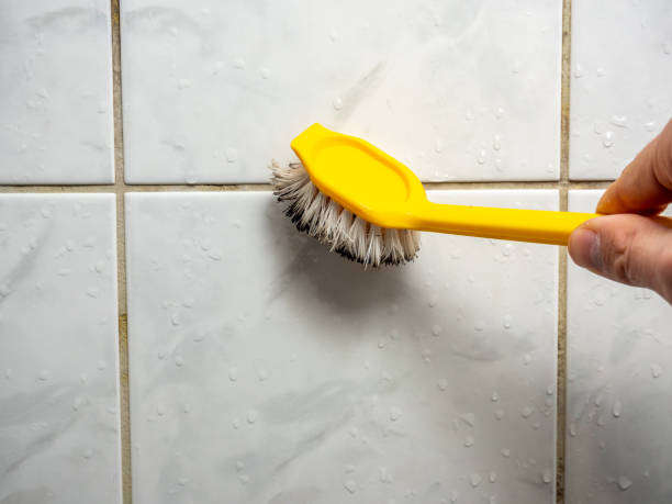 Best White Mold Remediation in Newport, DE