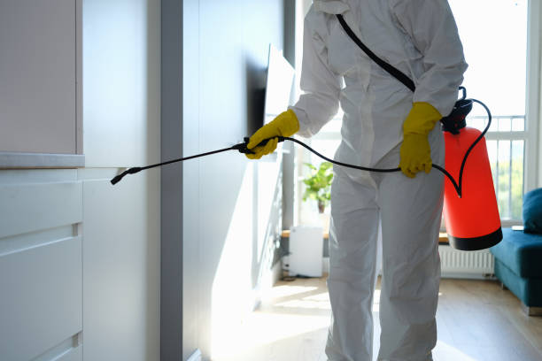 Best DIY Mold Remediation Support Services in Newport, DE