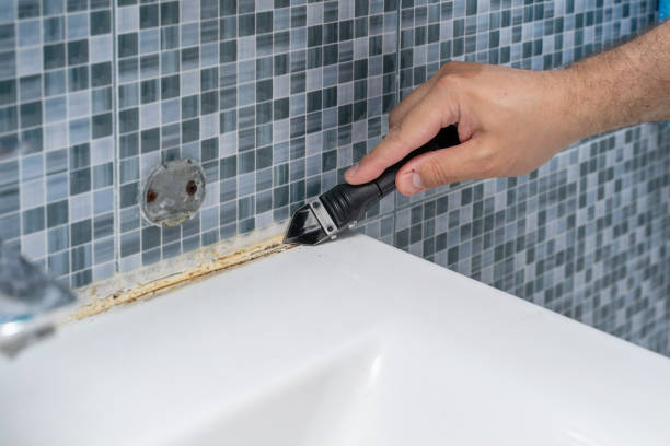 Best Residential Mold Remediation in Newport, DE